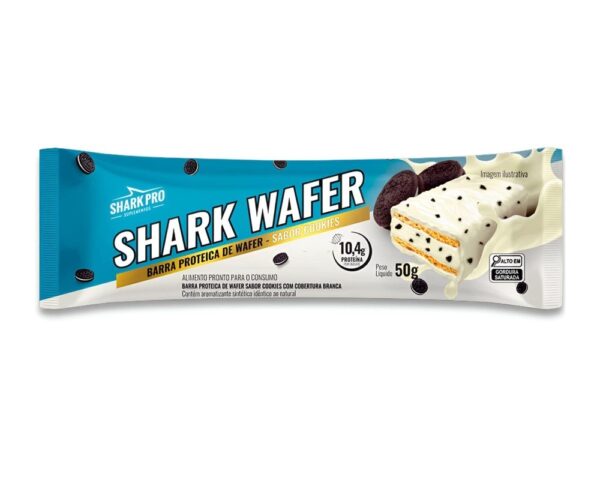 4951G2024 07 08T145042.344